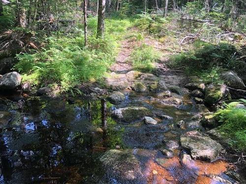 Lot 29 Tupper Lake, Westfield, NS 