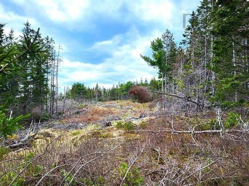 Lot Back Road, Voglers Cove, NS 