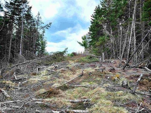 Lot Back Road, Voglers Cove, NS 