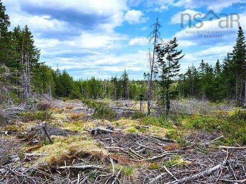 Lot Back Road, Voglers Cove, NS 