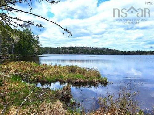 Lot Back Road, Voglers Cove, NS 