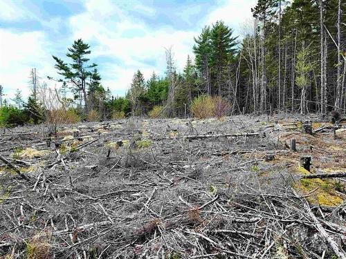 Lot Back Road, Voglers Cove, NS 