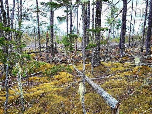 Lot Back Road, Voglers Cove, NS 