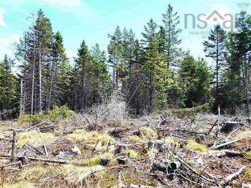 Lot Back Road, Voglers Cove, NS 