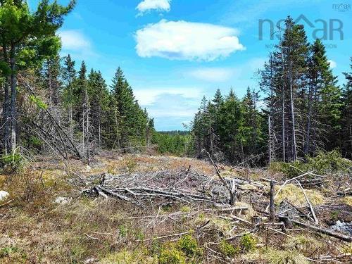 Lot Back Road, Voglers Cove, NS 