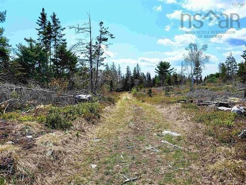 Lot Back Road, Voglers Cove, NS 