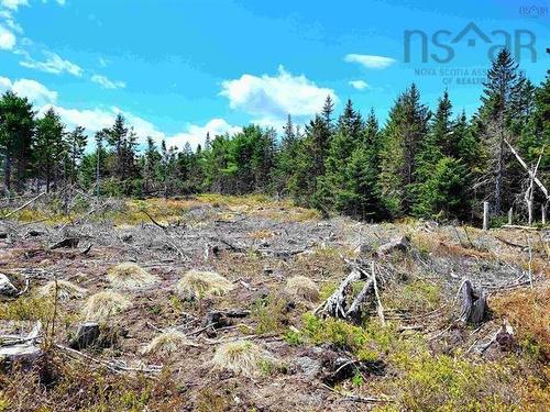 Lot Back Road, Voglers Cove, NS 