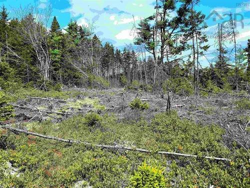 Lot Back Road, Voglers Cove, NS 