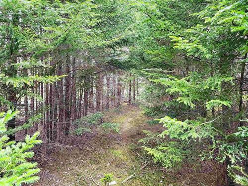 Lot Hirtle Road, Voglers Cove, NS 