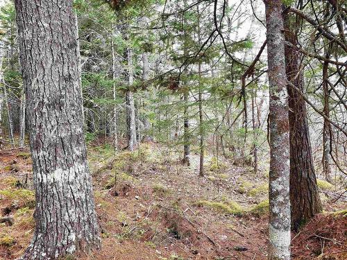 Lot Hirtle Road, Voglers Cove, NS 