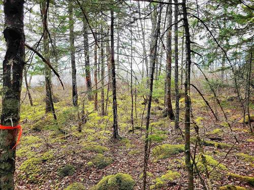 Lot Hirtle Road, Voglers Cove, NS 