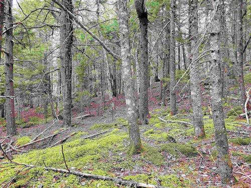 Lot Hirtle Road, Voglers Cove, NS 