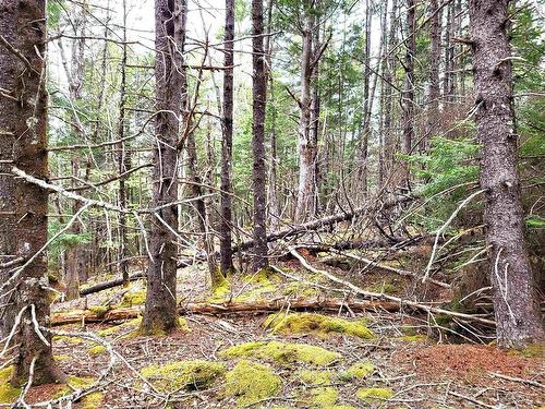 Lot Hirtle Road, Voglers Cove, NS 