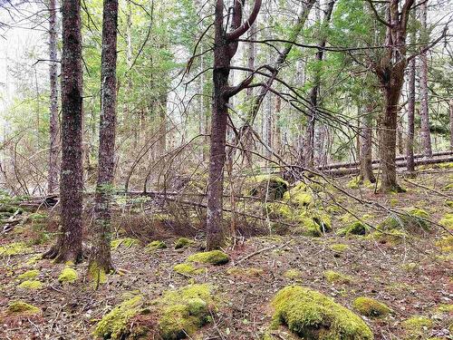 Lot Hirtle Road, Voglers Cove, NS 