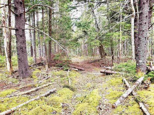 Lot Hirtle Road, Voglers Cove, NS 