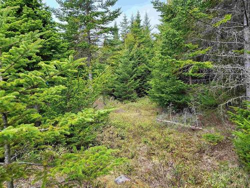 Lot Hirtle Road, Voglers Cove, NS 