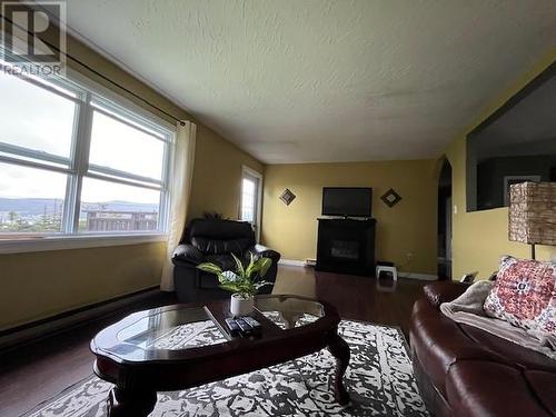 65 Old Cove Road, Rocky Harbour, NL - Indoor Photo Showing Living Room