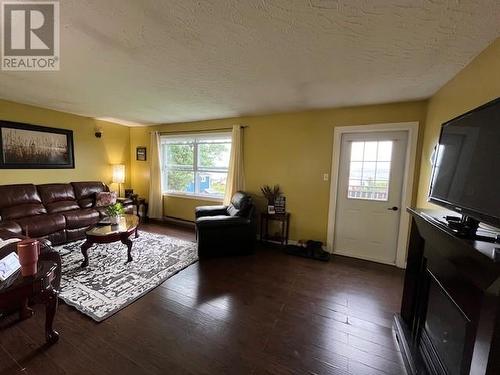 65 Old Cove Road, Rocky Harbour, NL - Indoor Photo Showing Living Room