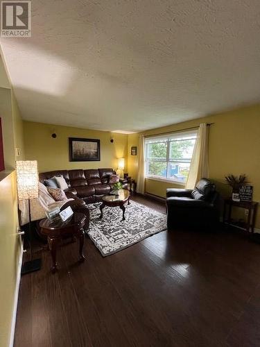 65 Old Cove Road, Rocky Harbour, NL - Indoor Photo Showing Living Room