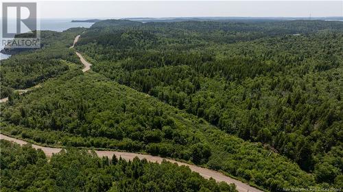 Lot 86-130 Fundy Drive, Campobello Island, NB 