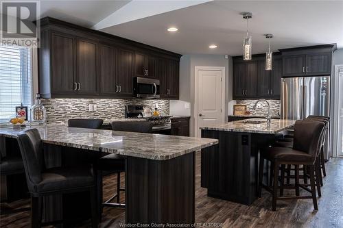 1231 Eastlawn, Windsor, ON - Indoor Photo Showing Kitchen With Upgraded Kitchen