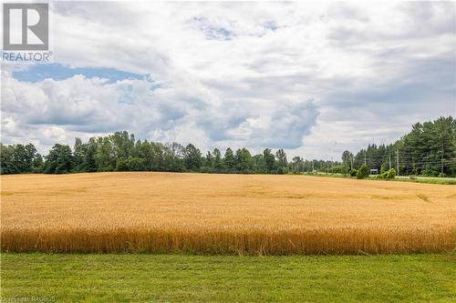 317901 Highway 6 & 10, Meaford, ON - Outdoor With View