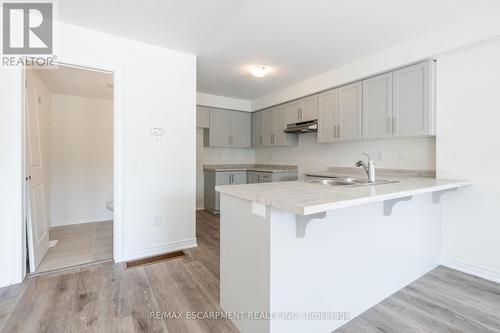 118 - 21 Roxanne Drive, Hamilton, ON - Indoor Photo Showing Kitchen With Double Sink