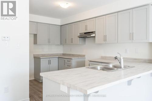 118 - 21 Roxanne Drive, Hamilton, ON - Indoor Photo Showing Kitchen With Double Sink