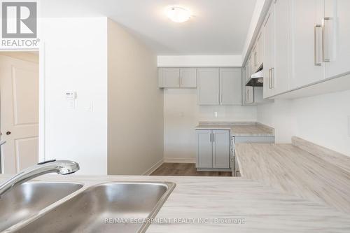 118 - 21 Roxanne Drive, Hamilton, ON - Indoor Photo Showing Kitchen With Double Sink