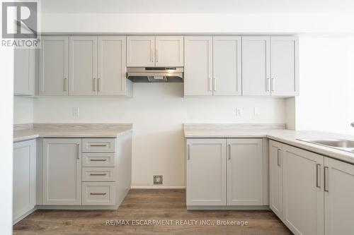 118 - 21 Roxanne Drive, Hamilton, ON - Indoor Photo Showing Kitchen