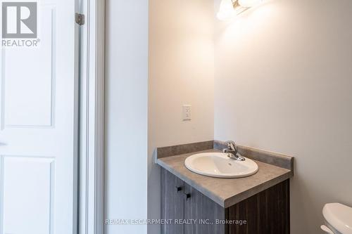 118 - 21 Roxanne Drive, Hamilton, ON - Indoor Photo Showing Bathroom