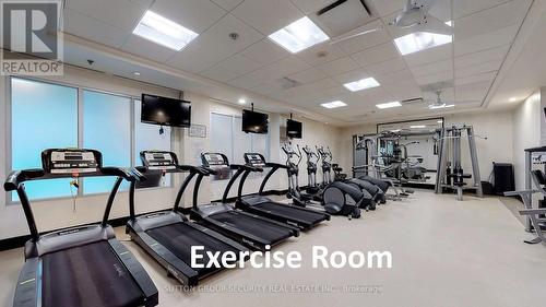 Ph 09 - 1060 Sheppard Avenue W, Toronto (York University Heights), ON - Indoor Photo Showing Gym Room