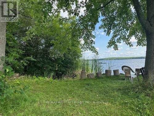 46 Walmac Shores Drive, Kawartha Lakes (Bobcaygeon), ON - Outdoor With Body Of Water