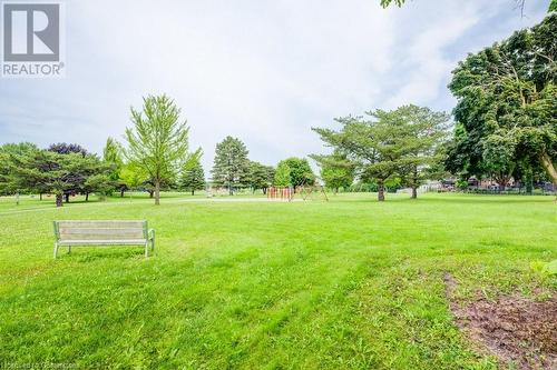 Views of Forest Hill Park - 303 Stonybrook Drive, Kitchener, ON - Outdoor