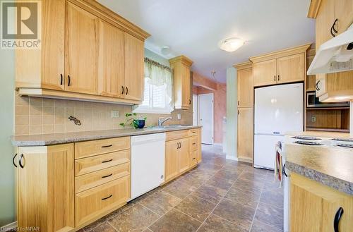 303 Stonybrook Drive, Kitchener, ON - Indoor Photo Showing Kitchen