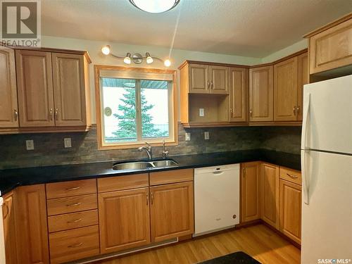 106 4451 Nicurity Drive, Regina, SK - Indoor Photo Showing Kitchen With Double Sink