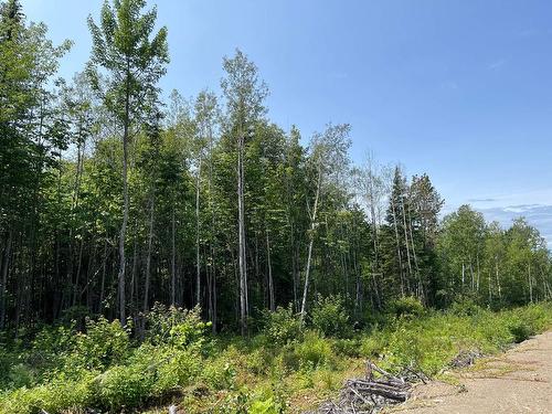 Land/Lot - 7E Rang E., Saint-Joseph-De-Kamouraska, QC 