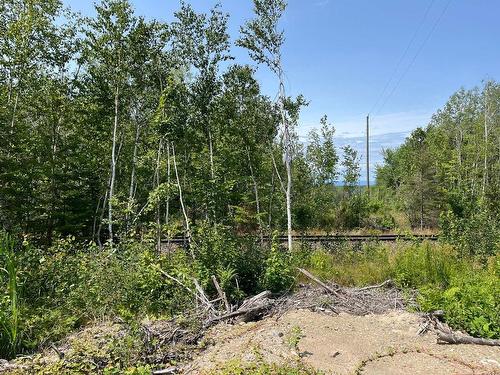 Land/Lot - 7E Rang E., Saint-Joseph-De-Kamouraska, QC 