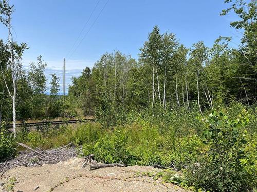 Land/Lot - 7E Rang E., Saint-Joseph-De-Kamouraska, QC 