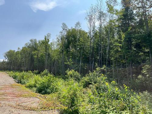 Land/Lot - 7E Rang E., Saint-Joseph-De-Kamouraska, QC 