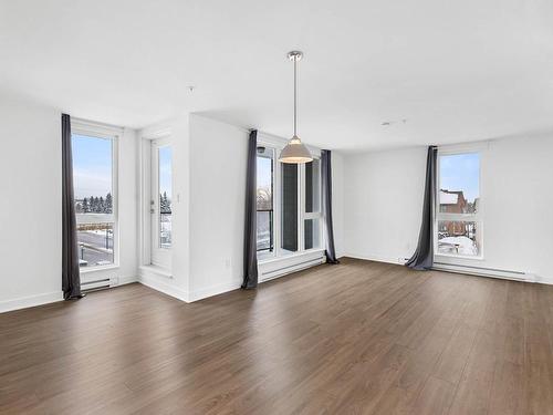 Salon - 509-9675 Av. Papineau, Montréal (Ahuntsic-Cartierville), QC - Indoor Photo Showing Living Room