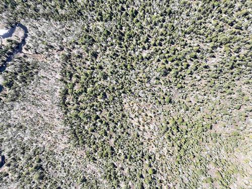 Lot Hirtle Road, Voglers Cove, NS 