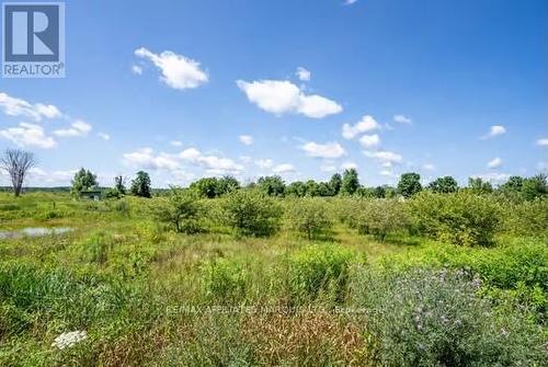 17390 Mcphail Road, South Stormont, ON - Outdoor With View