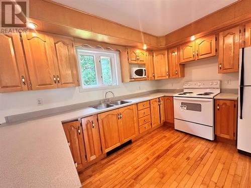 234-236 Main Road, Lewins Cove, NL - Indoor Photo Showing Kitchen With Double Sink