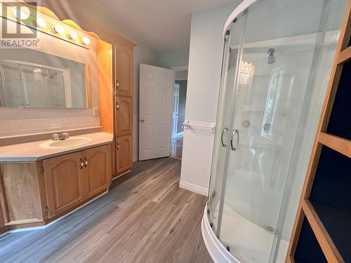 234-236 Main Road, Lewins Cove, NL - Indoor Photo Showing Bathroom