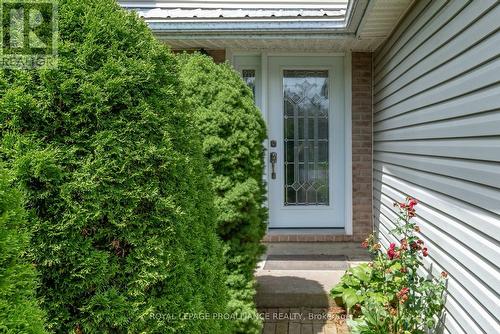 37 Harbourview Crescent, Prince Edward County (Wellington), ON - Outdoor