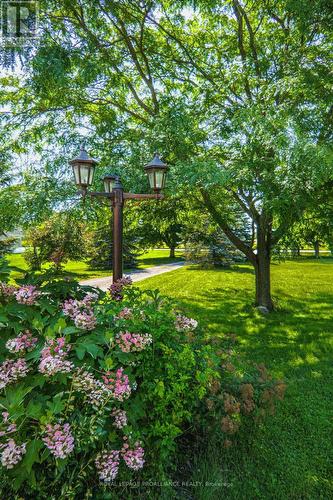 330 County Rd 3, Prince Edward County (Ameliasburgh), ON - Outdoor