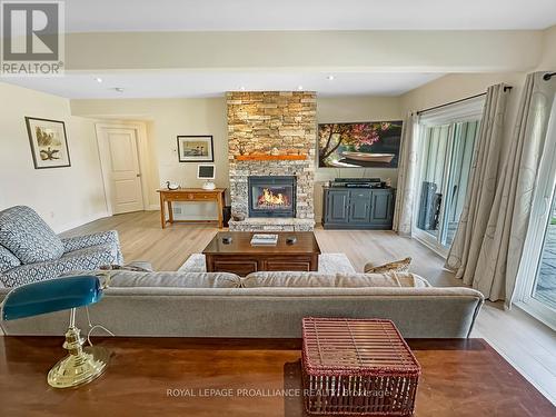 397 Wilson Road, Centre Hastings, ON - Indoor Photo Showing Living Room With Fireplace