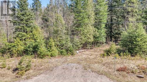 12548 N County Rd 503, Highlands East, ON 