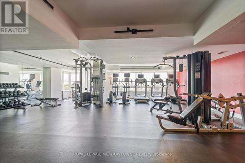 702 - 59 East Liberty Street, Toronto (Niagara), ON - Indoor Photo Showing Gym Room